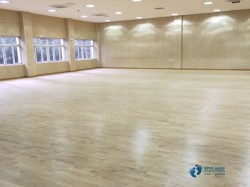 耐用籃球館木地板