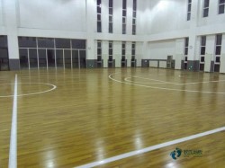 籃球場(chǎng)館木地板多錢一平