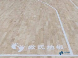 板式龍骨籃球場(chǎng)木地板