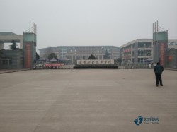 籃球場(chǎng)木地板價(jià)格