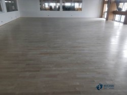 籃球館木地板行業(yè)品牌