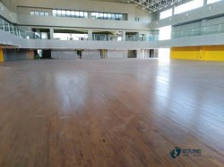 籃球場館木地板價(jià)格