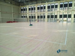 大學運動館木地板