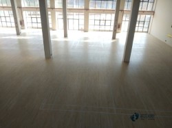 籃球場地木地板的排名