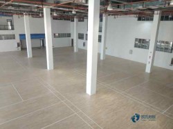 籃球場地木地板品牌排行