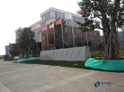 籃球館木地板價格表