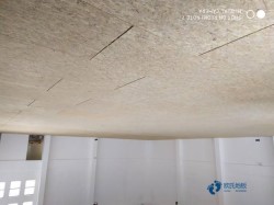 籃球場館木地板價(jià)格一般多少錢一平方米