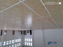 籃球館木地板哪家好