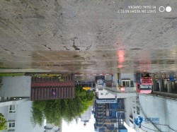 籃球場(chǎng)木地板十大排名