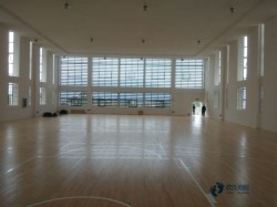 籃球場(chǎng)館地板品牌哪個(gè)好