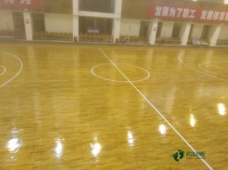 板式龍骨籃球體育木地板