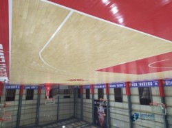 體育運(yùn)動地板大概多少錢