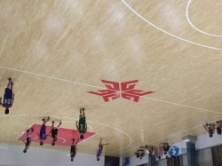 體育籃球木地板多錢一平