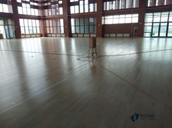 體育場木地板大約多少錢
