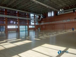 專業(yè)籃球場館木地板施工隊