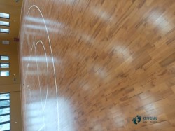 哪里有運動地板品牌排行