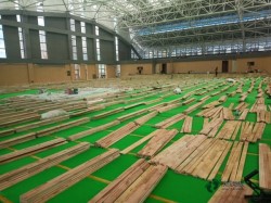 籃球場館木地板多少錢能下來