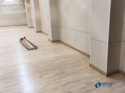 懸浮式運(yùn)動(dòng)型地板施工單位