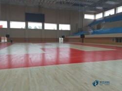 哪里有運(yùn)動(dòng)場地地板品牌大全