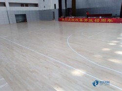 運動場地板需要多少錢