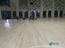 那里有運動場館地板品牌大全