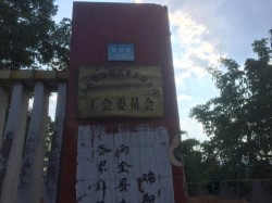 哪里有運(yùn)動(dòng)籃球木地板品牌哪個(gè)好
