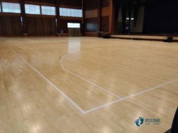 小學(xué)松木舞臺體育場地木地板施工工藝